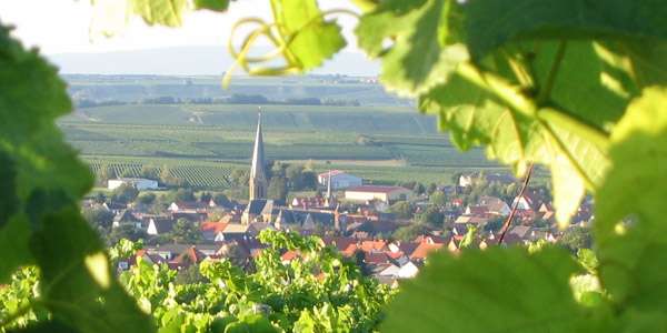 Immobilien in Rheinhessen